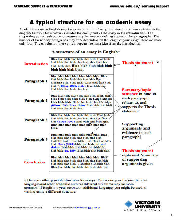 19+ Essay Templates in PDF