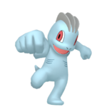 Machop macho