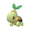 Turtwig