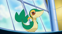 Imagen de Snivy