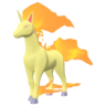 Rapidash