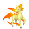 Rapidash