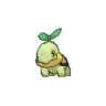 Turtwig