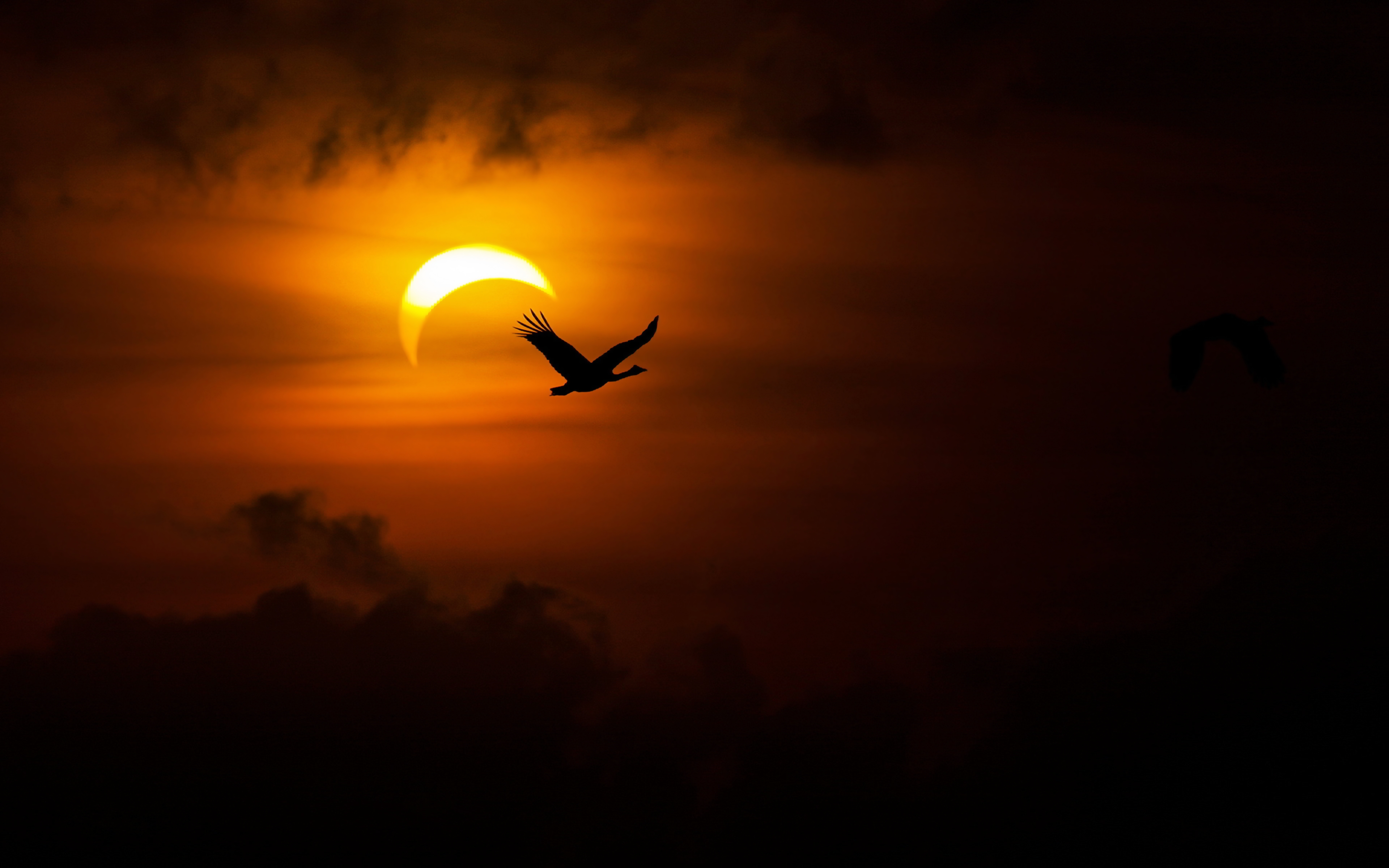 Solar Eclipse Wallpaper For Desktop