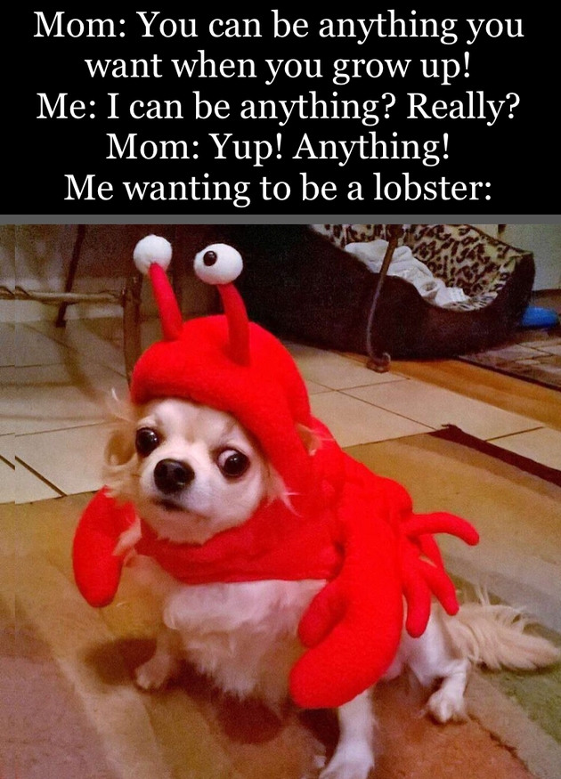 Lobster time - Meme by DDMEMER :) Memedroid