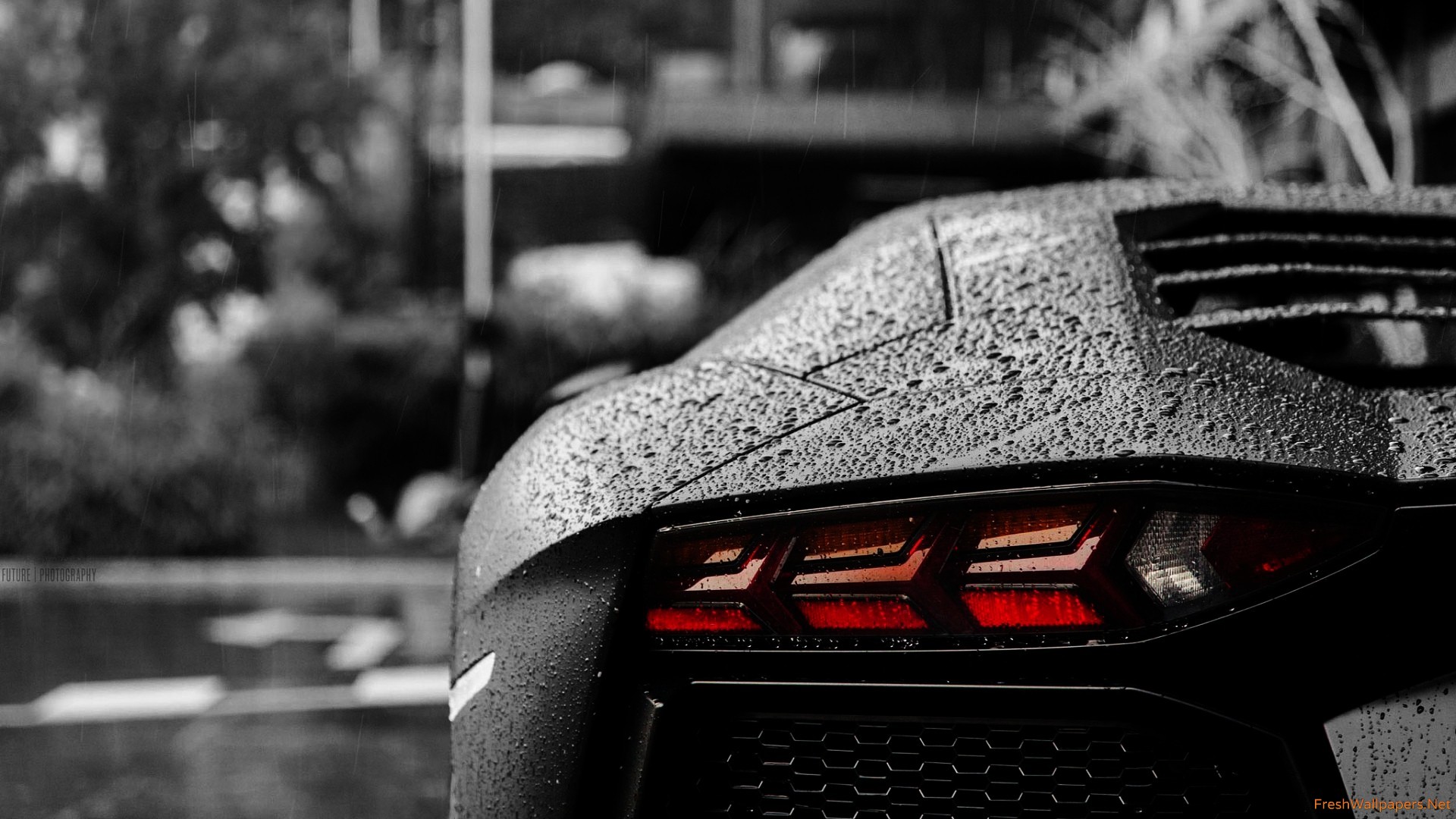 Aventador In The Rain Fondo de pantalla HD | Fondo de Escritorio