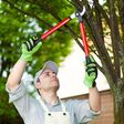 Porch Pro Headshot Top Tree Service Seattle