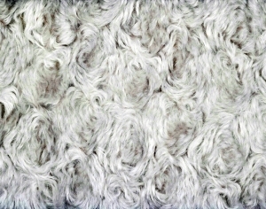 ModernAnimal Carpet