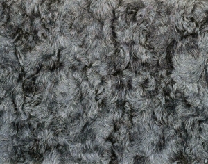 ModernAnimal Carpet