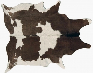 ModernAnimal Carpet