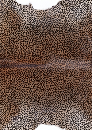 ModernAnimal Carpet