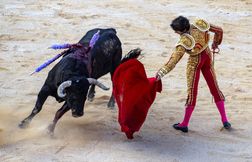 La corrida désormais interdite dans une commune de l'Hérault