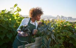 Spécialiste en agriculture urbaine, un pro de l’adaptabilité