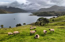 En Irlande, la route hésite entre terre, ciel et mer