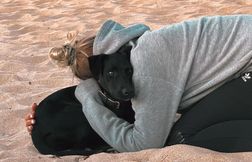 Elle cherche désespérément son chien qui a sauté d’un avion à Charles-de-Ga…