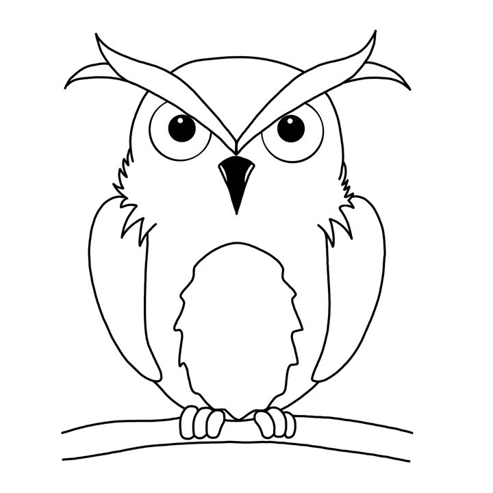 Line art Owl - Animals by Freyja