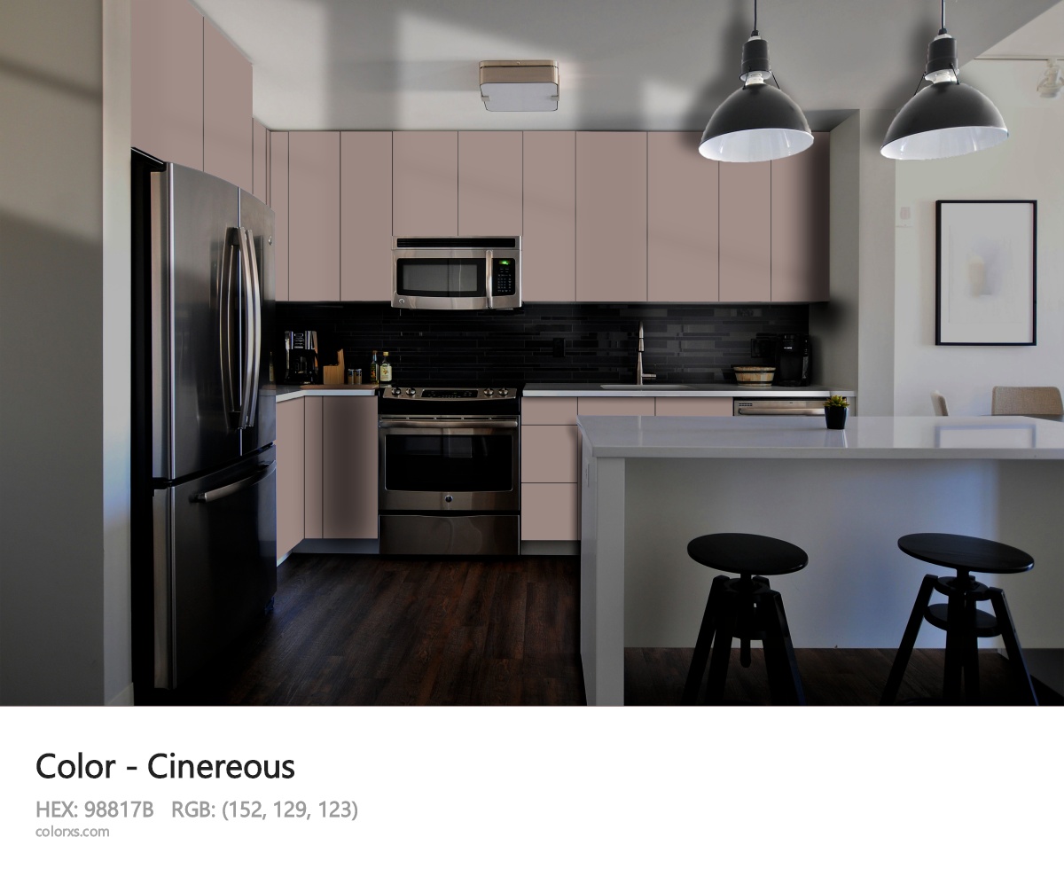 Cinereous Color modular kitchen design