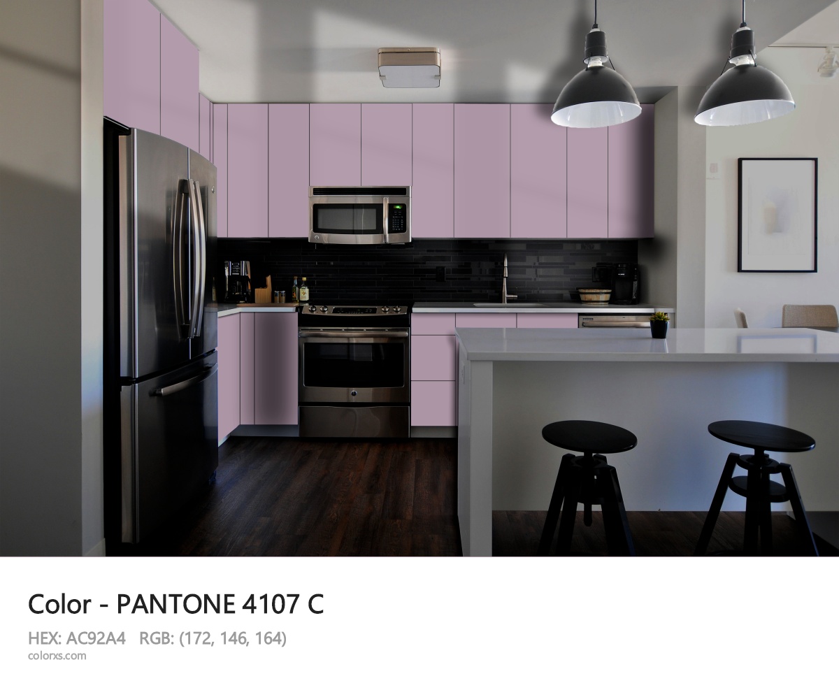 PANTONE 4107 C CMS modular kitchen design