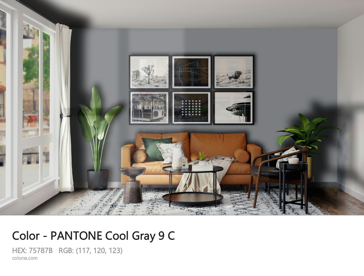 About PANTONE Cool Gray 9 C color - its meaning and example