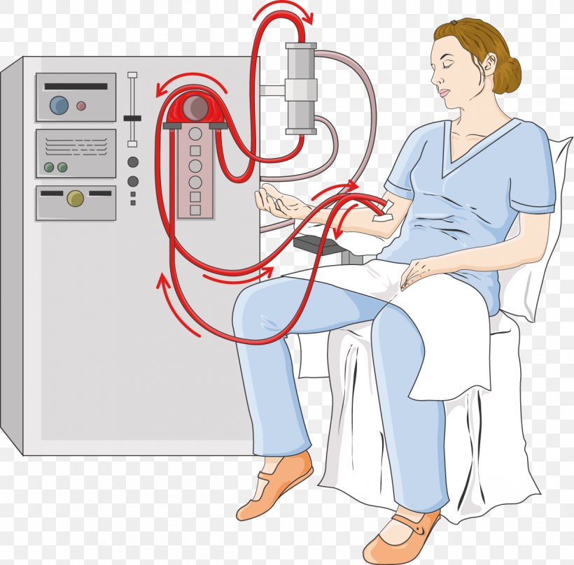 Hemodialysis Medicine Peritoneal Dialysis Nephron, PNG, 1248x1230px, Watercolor, Cartoon, Flower, Frame, Heart Download Free