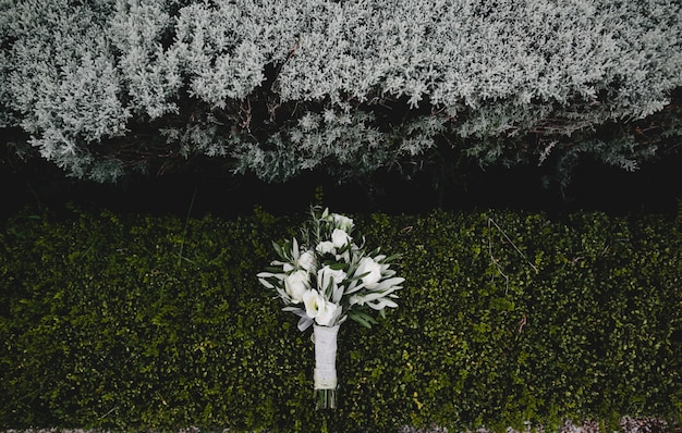 Foto grátis buquê de flores brancas encontra-se no mato verde