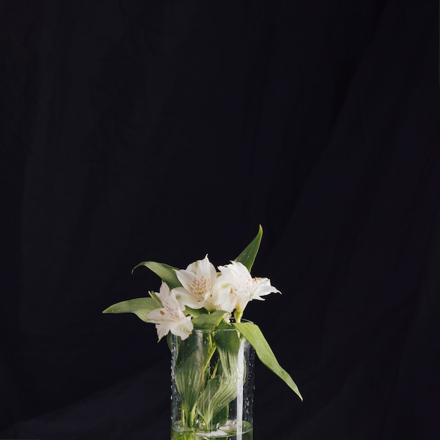 Foto grátis buquê de lindas flores brancas frescas em vaso