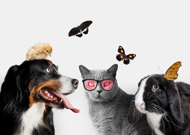 Foto grátis grupo de animais fofos em fundo branco