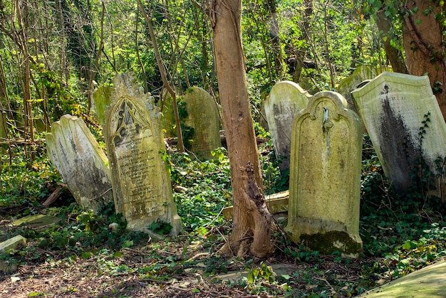 Foto grátis lápides no cemitério de nunhead em londres, na inglaterra, durante o dia