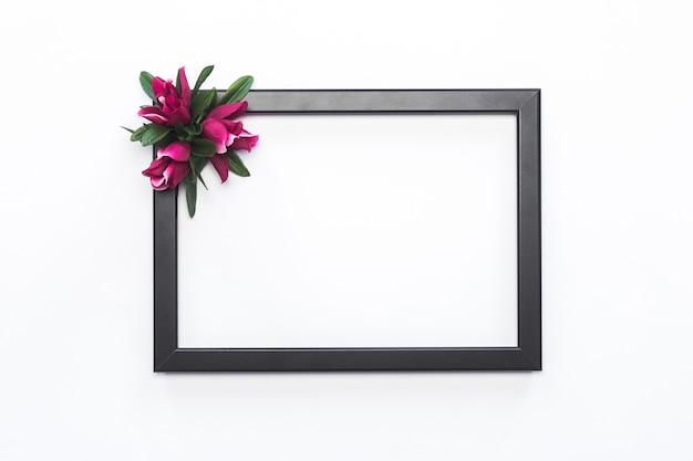 Foto grátis quadro preto rosa flor branco fundo moderno