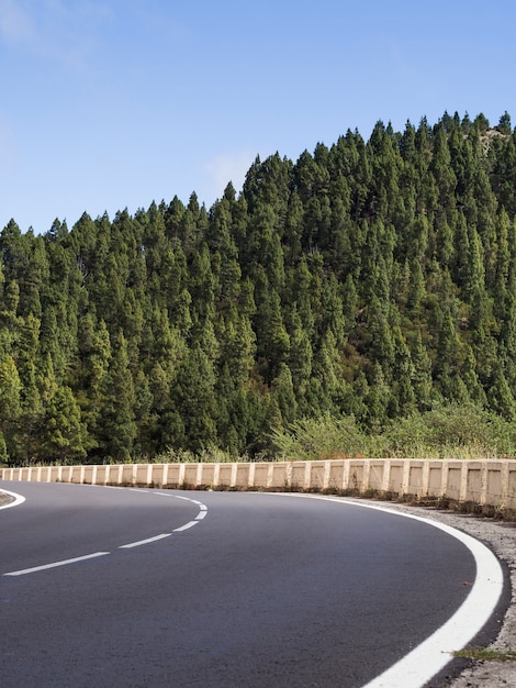 Foto grátis rodovia com belas árvores paisagem