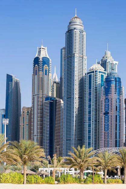 Foto grátis visão vertical de arranha-céus e palmeiras em dubai. uae