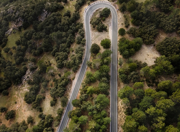 Foto grátis vista aérea de florestas