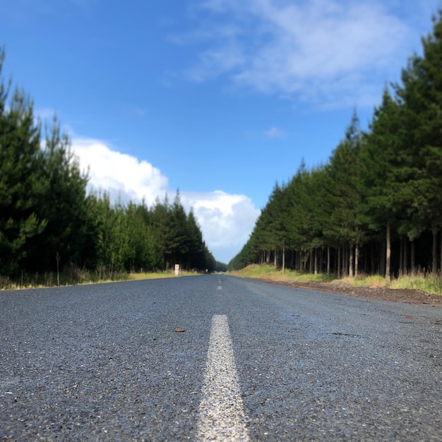 Foto estrada vazia em meio a árvores contra o céu