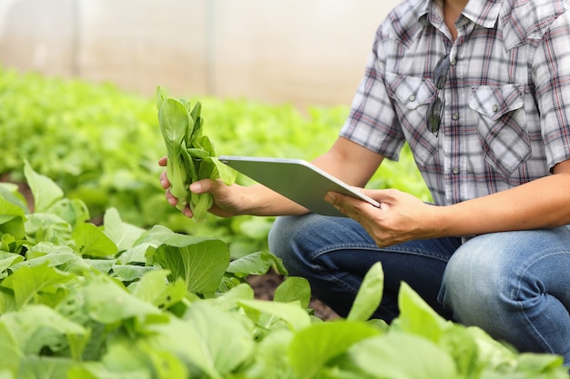 Premium Photo | Smart farmers are monitoring plant growth to keep up ...