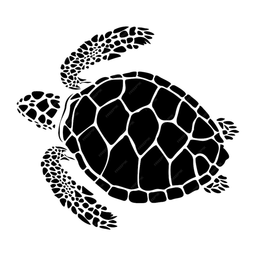 Premium Vector | Graphic sea turtlevector illustration of sea ...