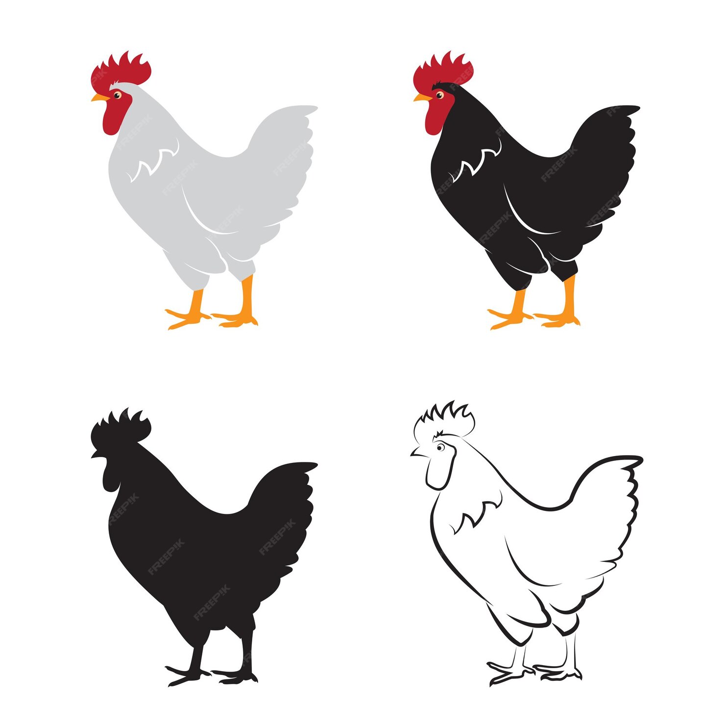 Premium Vector | Vector of chicken design on white background hen farm ...