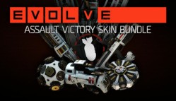 Assault Victory Skin Pack PC