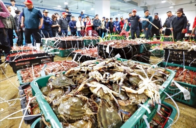 '꽃게' 즐겨 먹었는데 어쩌나…"이러다 다 죽게 생겼다" 초비상