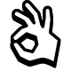 ok hand icon