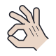 ok hand icon