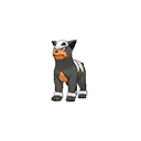 Houndour