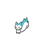 Pachirisu