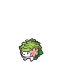 Shaymin sprite from Scarlet & Violet