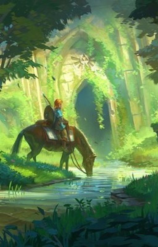 The First Champion | BOTW Link x GN!Reader by MintieCakes