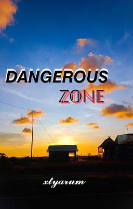 Dangerous ZONE  by xtyarum