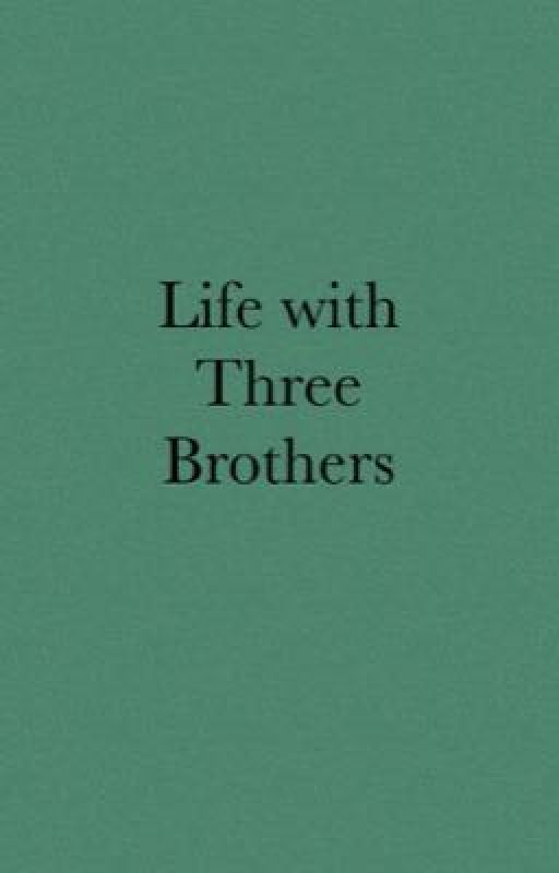 Life with Three Brothers by musicalfan27