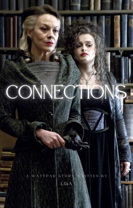 Connections ~ Y/n Potter x Bellatrix Lestrange x Narcissa Malfoy by LE_books03