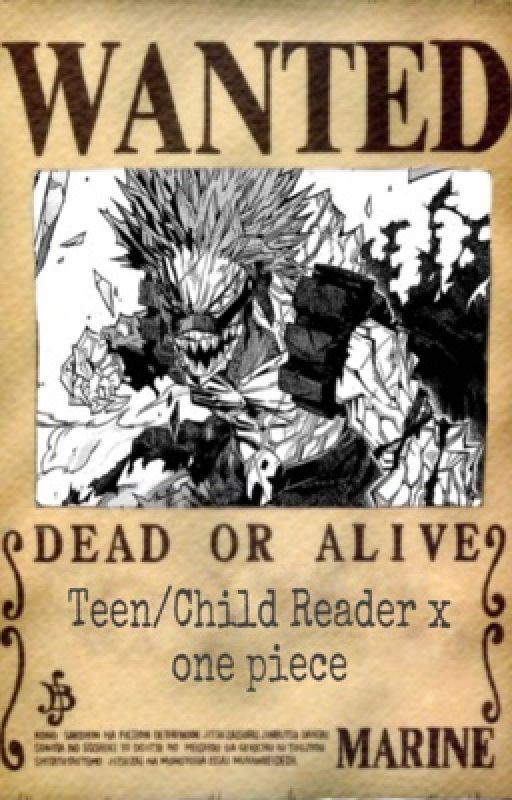 Teen/Child Reader x One Piece  by mugeesworld