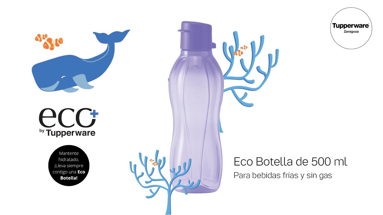 Eco botella 500 ml morada