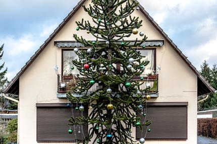 Heiligabend: Soloweihnachten ist ein Urlaub fürs Ego